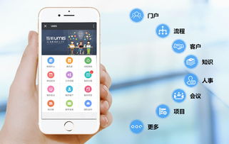 上?；ヂ摼W軟件集團 高端協同管理軟件與安全服務解決方案